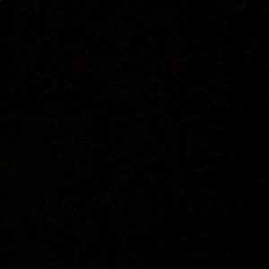 Meet your Posher, Lakecia